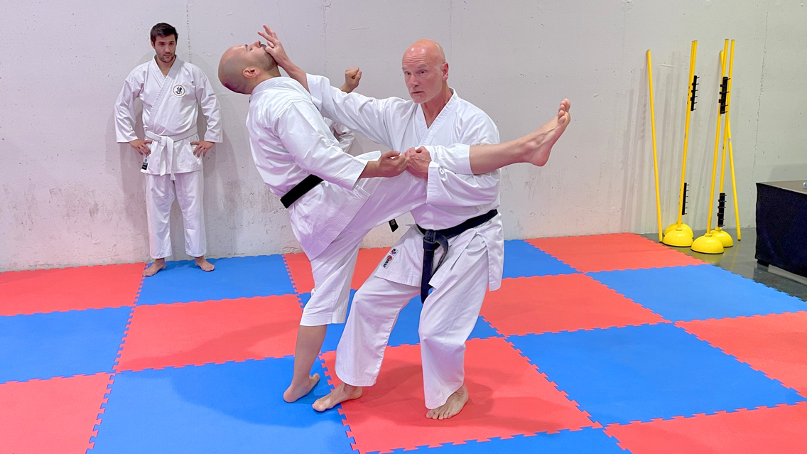 Sensei Daniel Goncalves zu Besuch in Halle